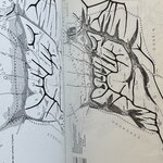 IMG_1551