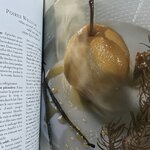 IMG_1555