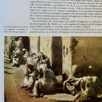 IMG_1563