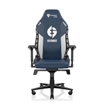 chaise-gaming-evil-geniuses