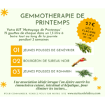 GEMMO THERAPIE DE PRINTEMPS - Publications Facebook (2)