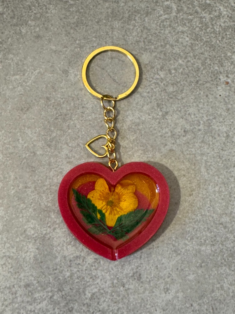 coeur 1 a