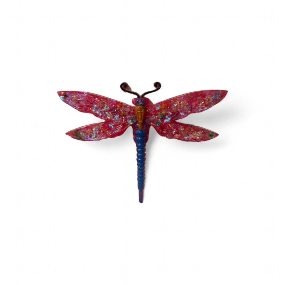 libellule-1-a