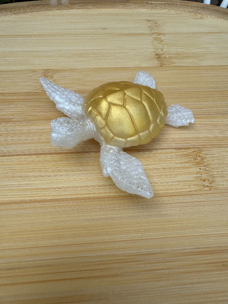 tortue blanche et dore 1 a