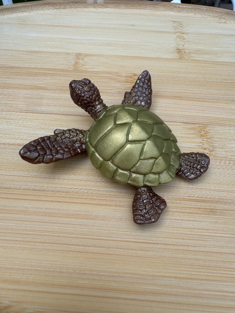 tortue bronze 1 b
