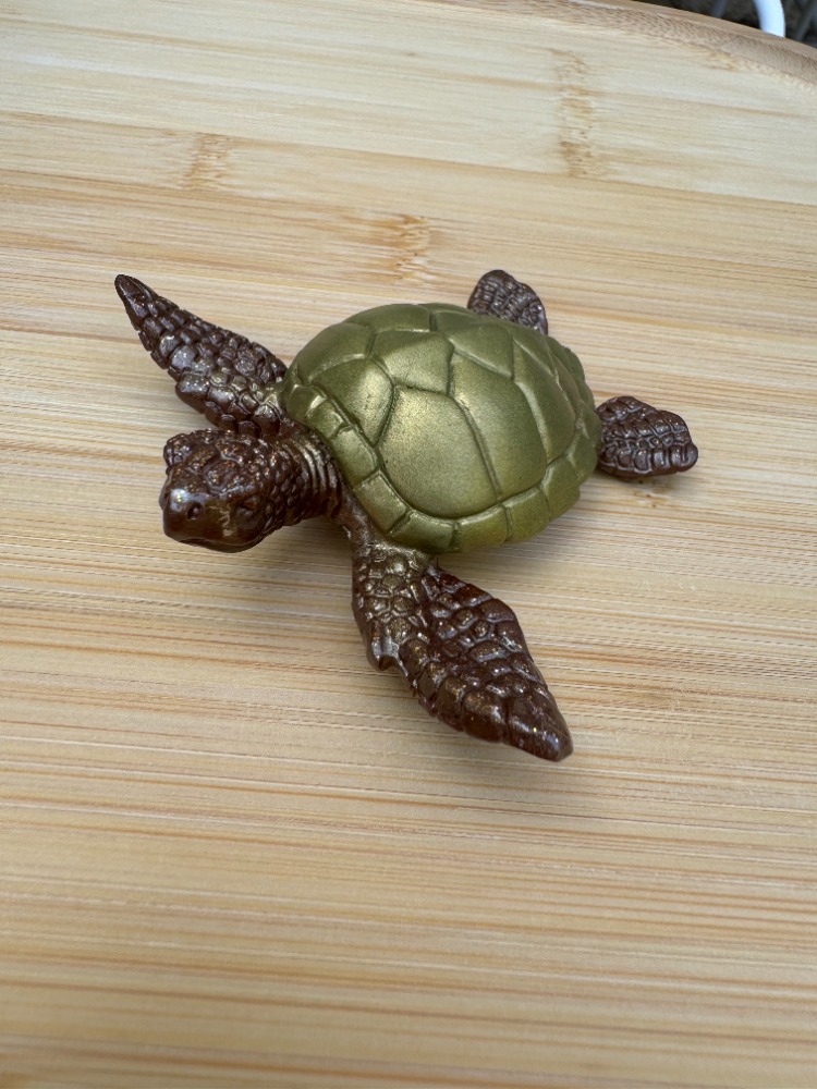 tortue bronze 1 a