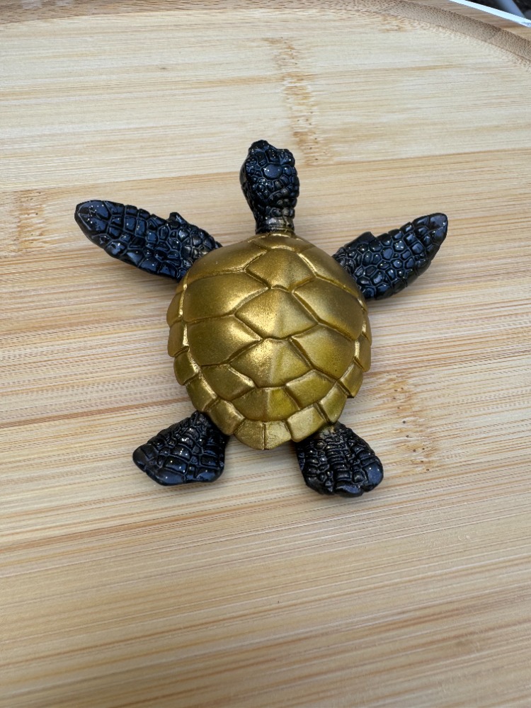 tortue noir et dore 1 a