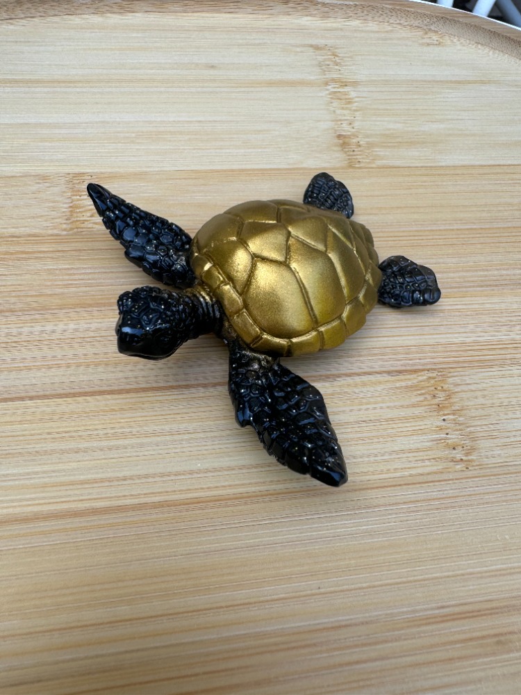 tortue noir et dore 1 b