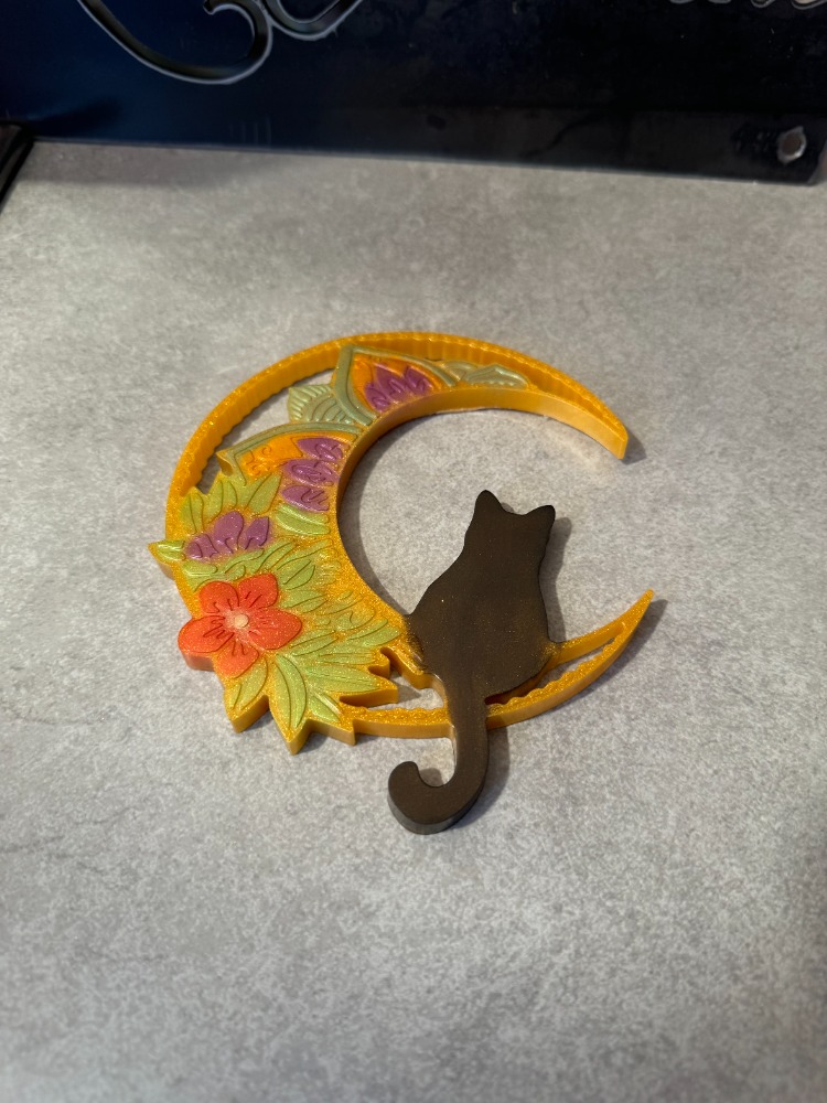 chat lune 1 a
