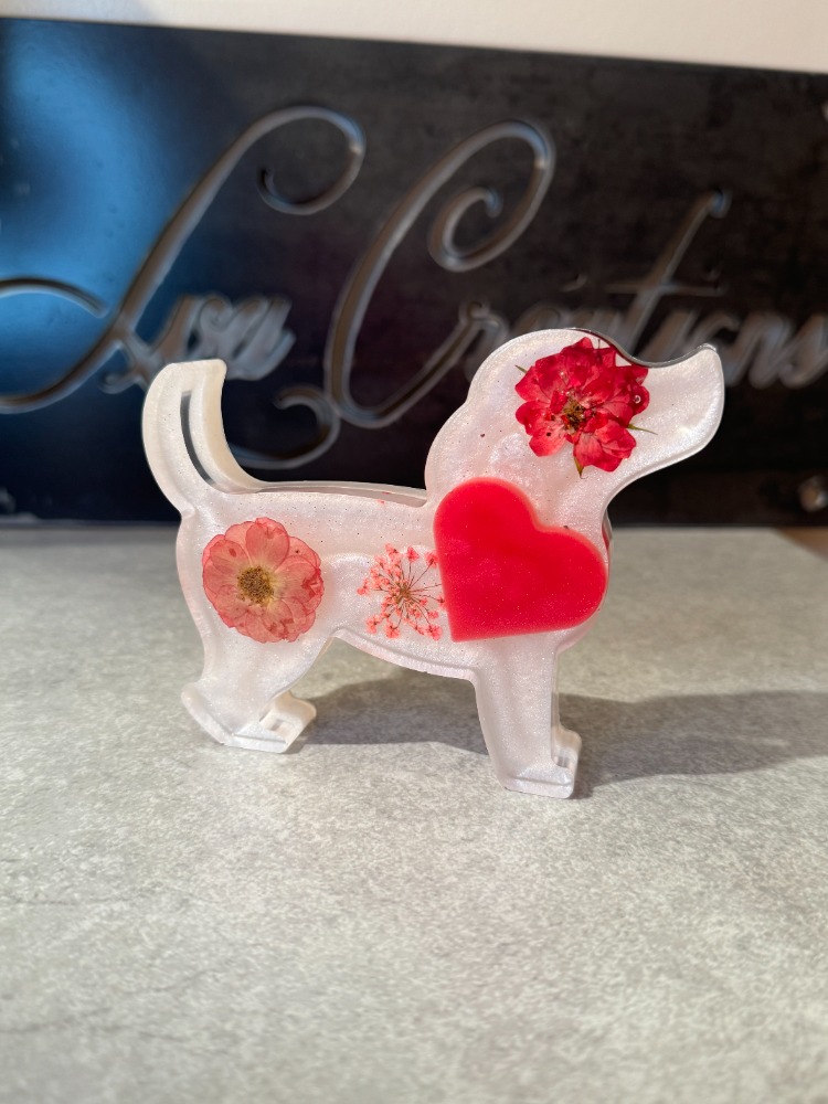 chien 1