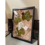 tableau berne 1 b