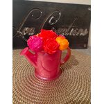 Arrosoir rose 1c