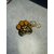 Patte de chien 1 a