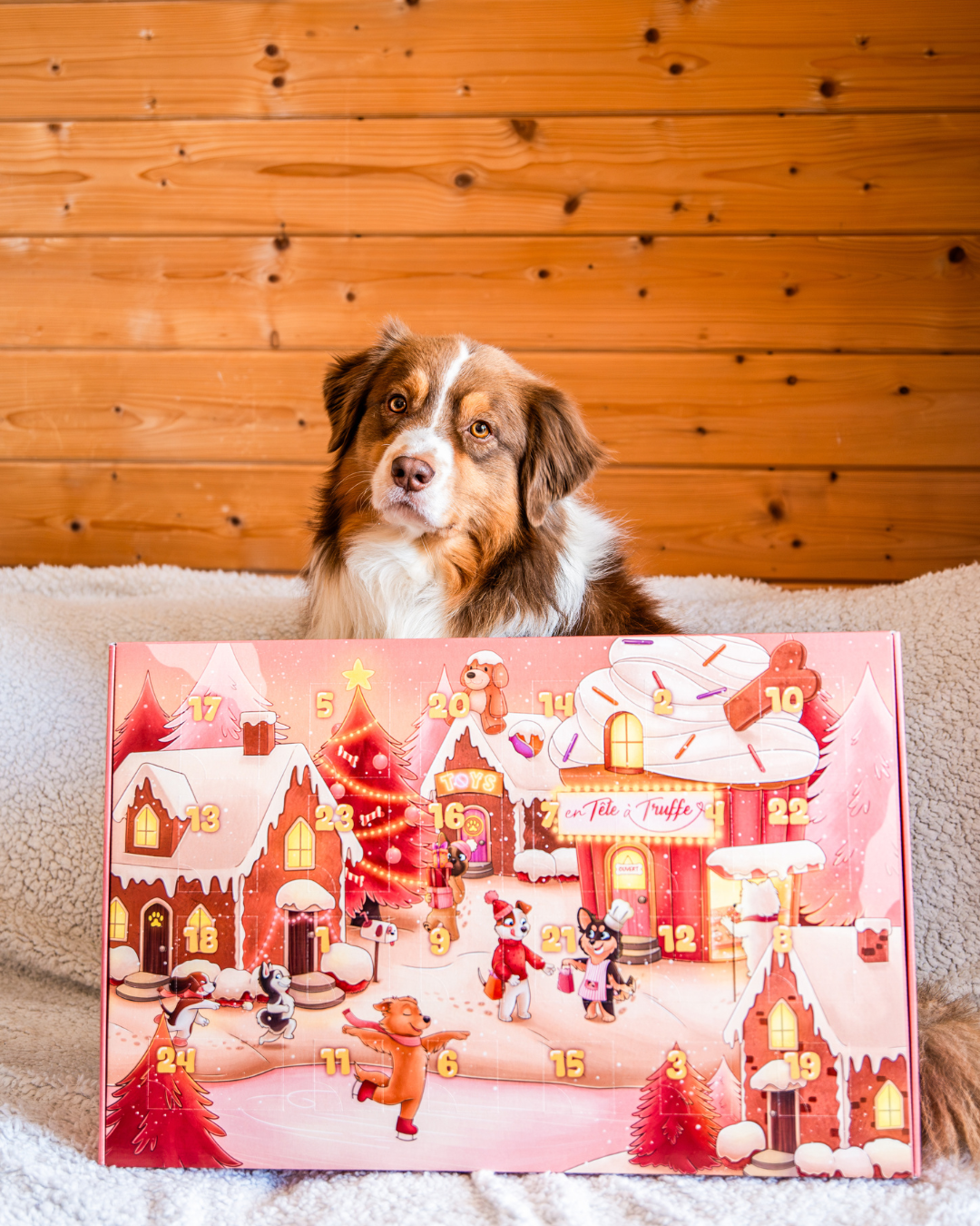 Calendrier De L'Avent Pour Chien Avec Jouets De Noël Croci - X 12