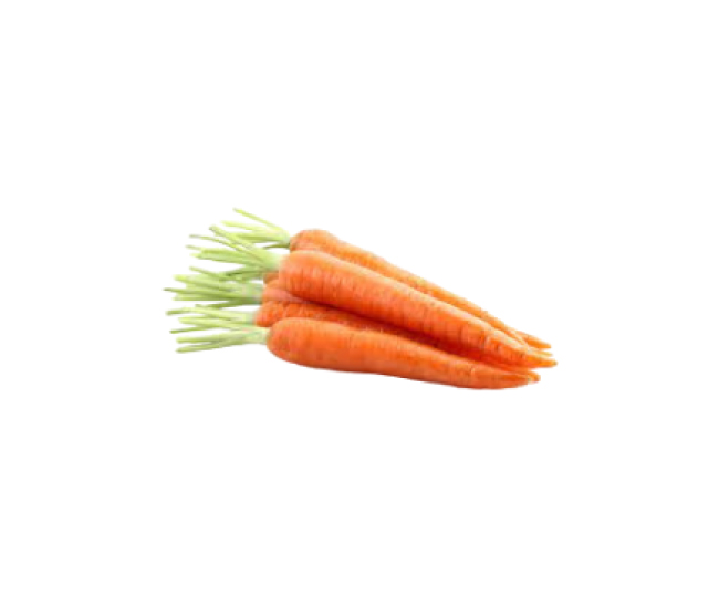 tete truffe root