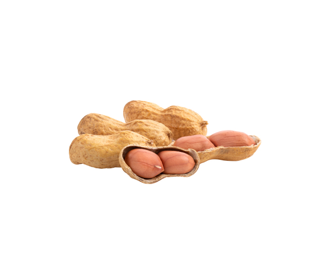 tete truffe cacahuete