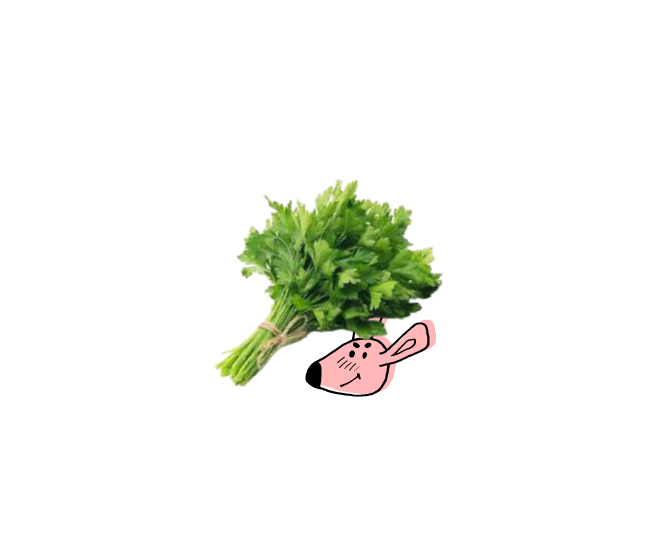 tete truffe persil