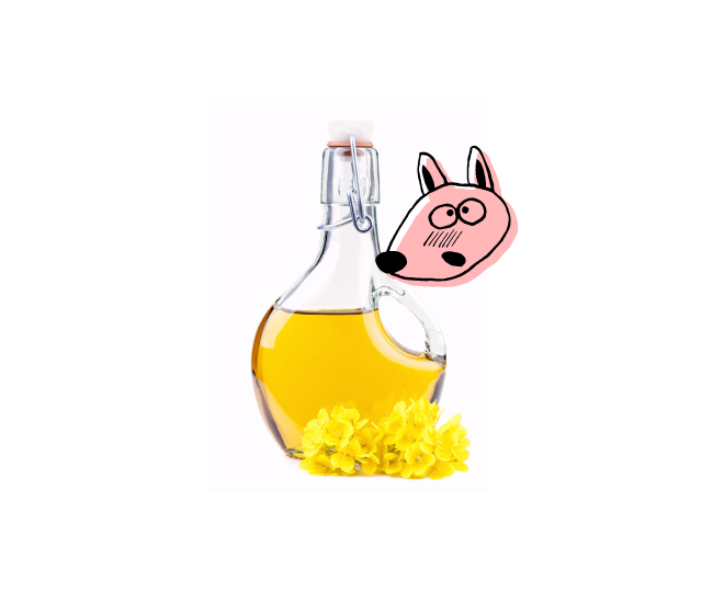 tete truffe colza