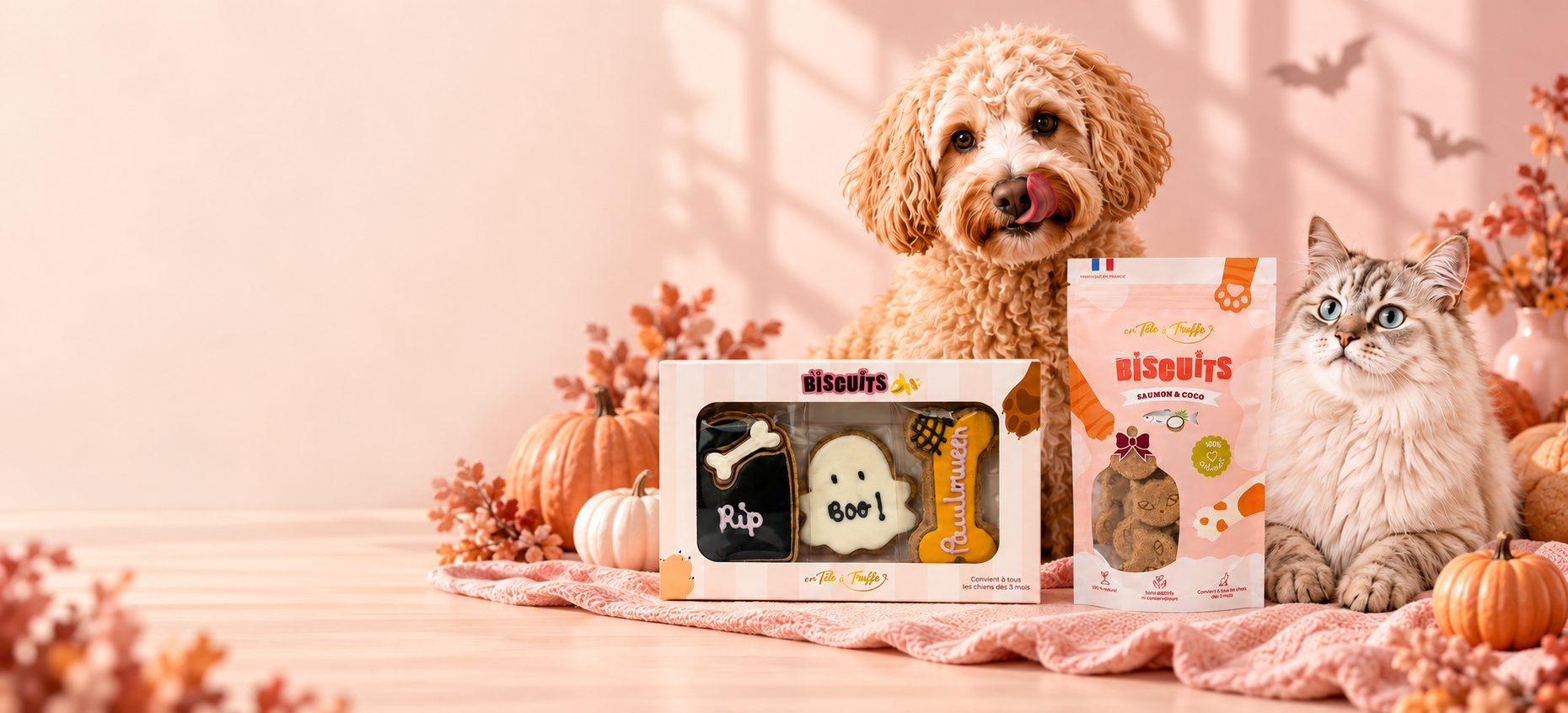 Chien et chat avec les biscuits de la collection Halloween En Tête à Truffe
