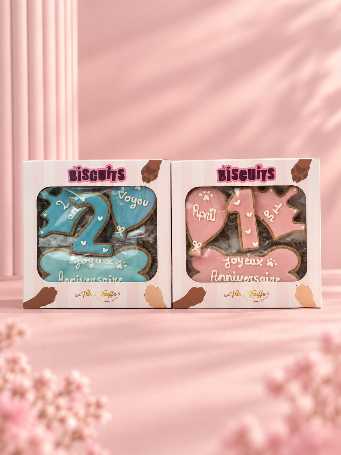 Box anniversaire pour chien