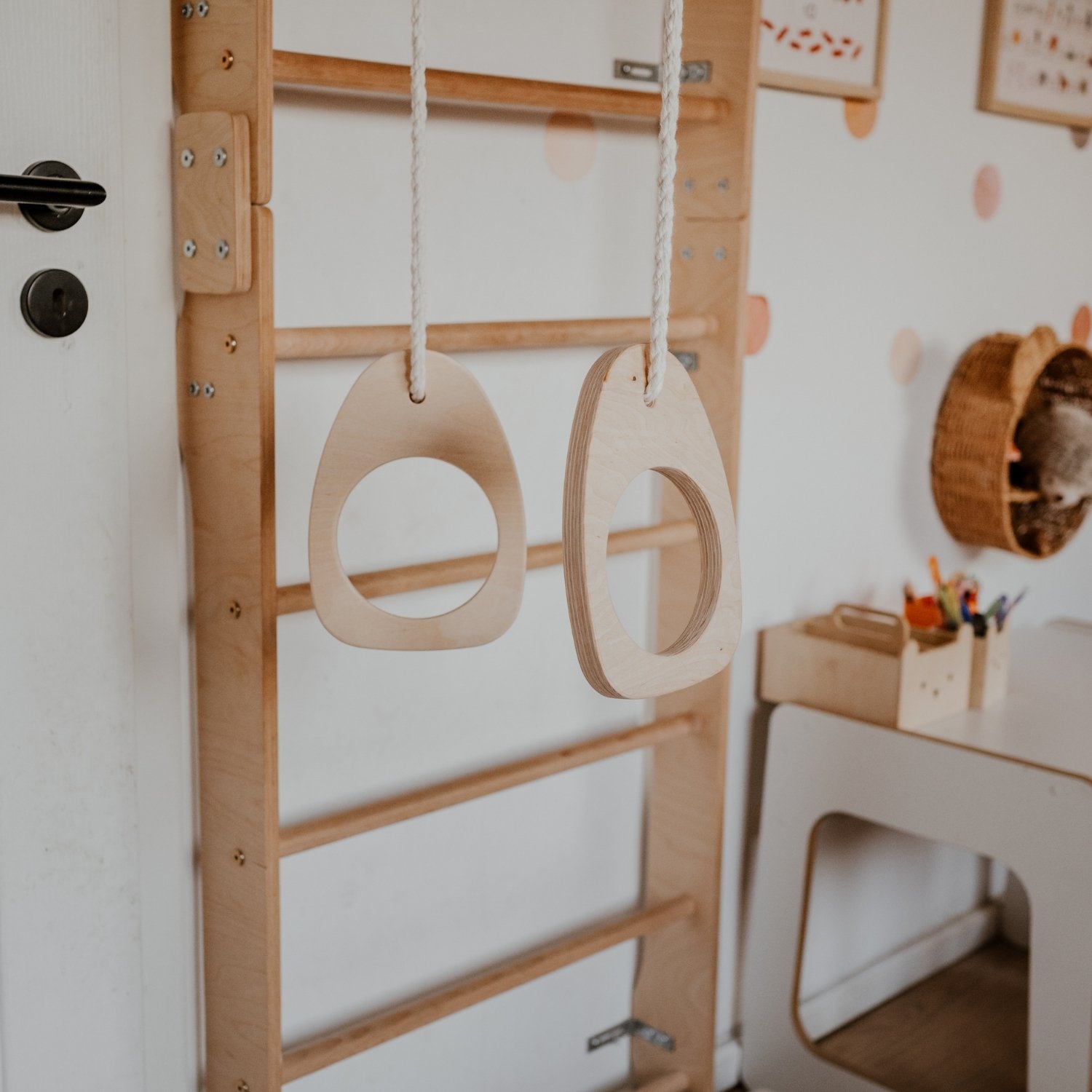ensemble-espalier-extensif-8