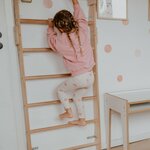 espalier-de-gymnastique-2