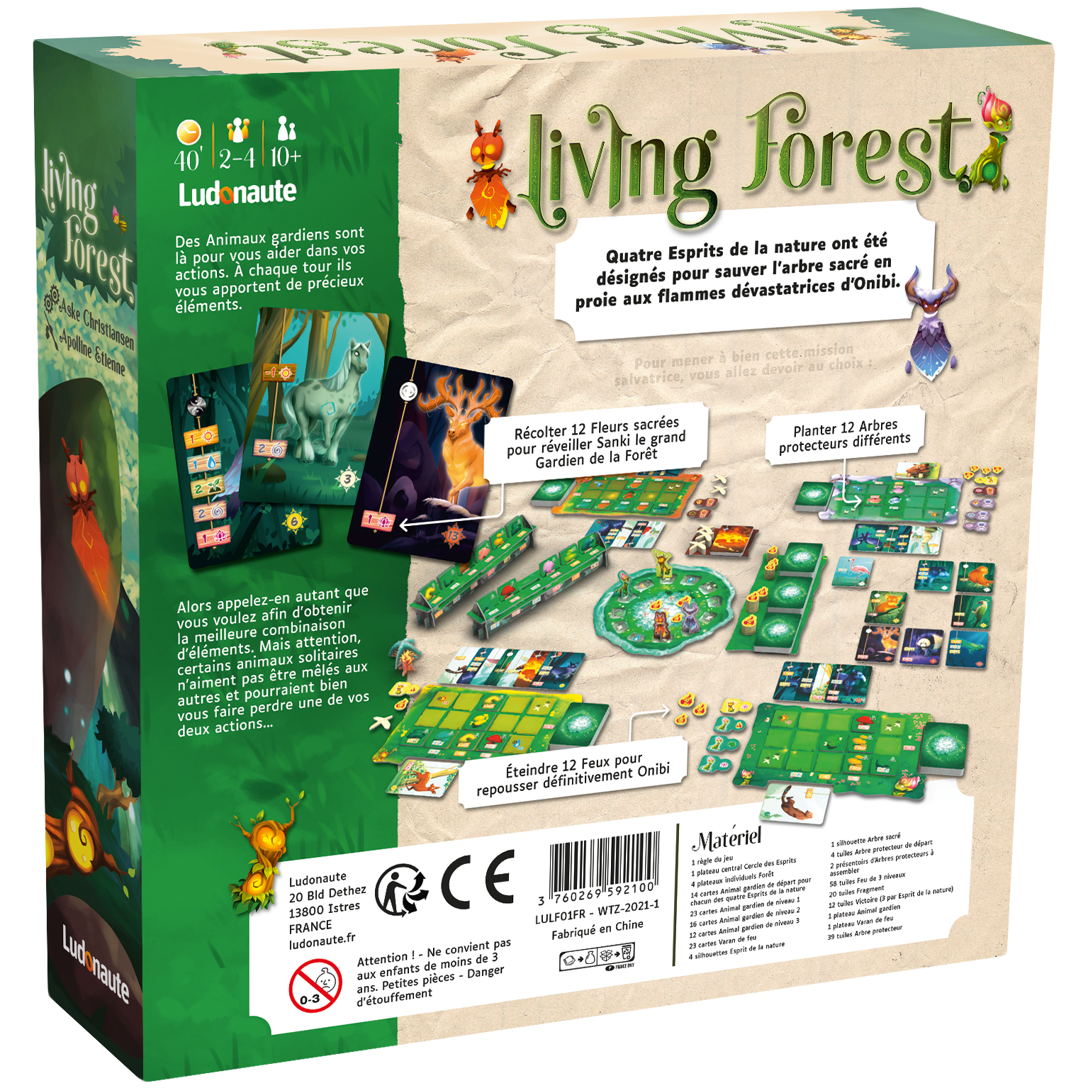 LIVING FOREST_4