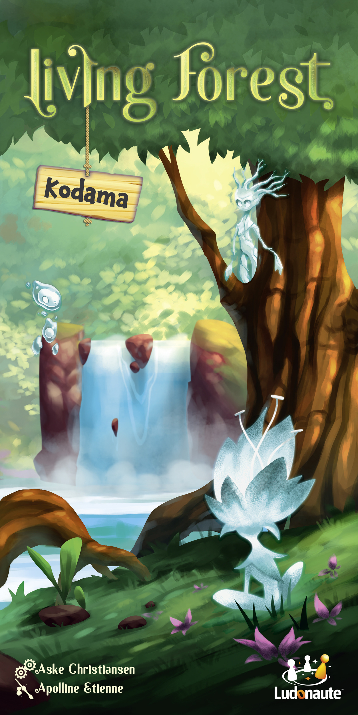 LIVING FOREST KODAMA_3