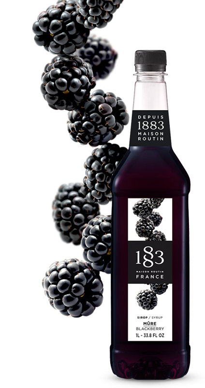 1883 ROUTIN - SIROP DE MÛRE Bouteille de 100cl