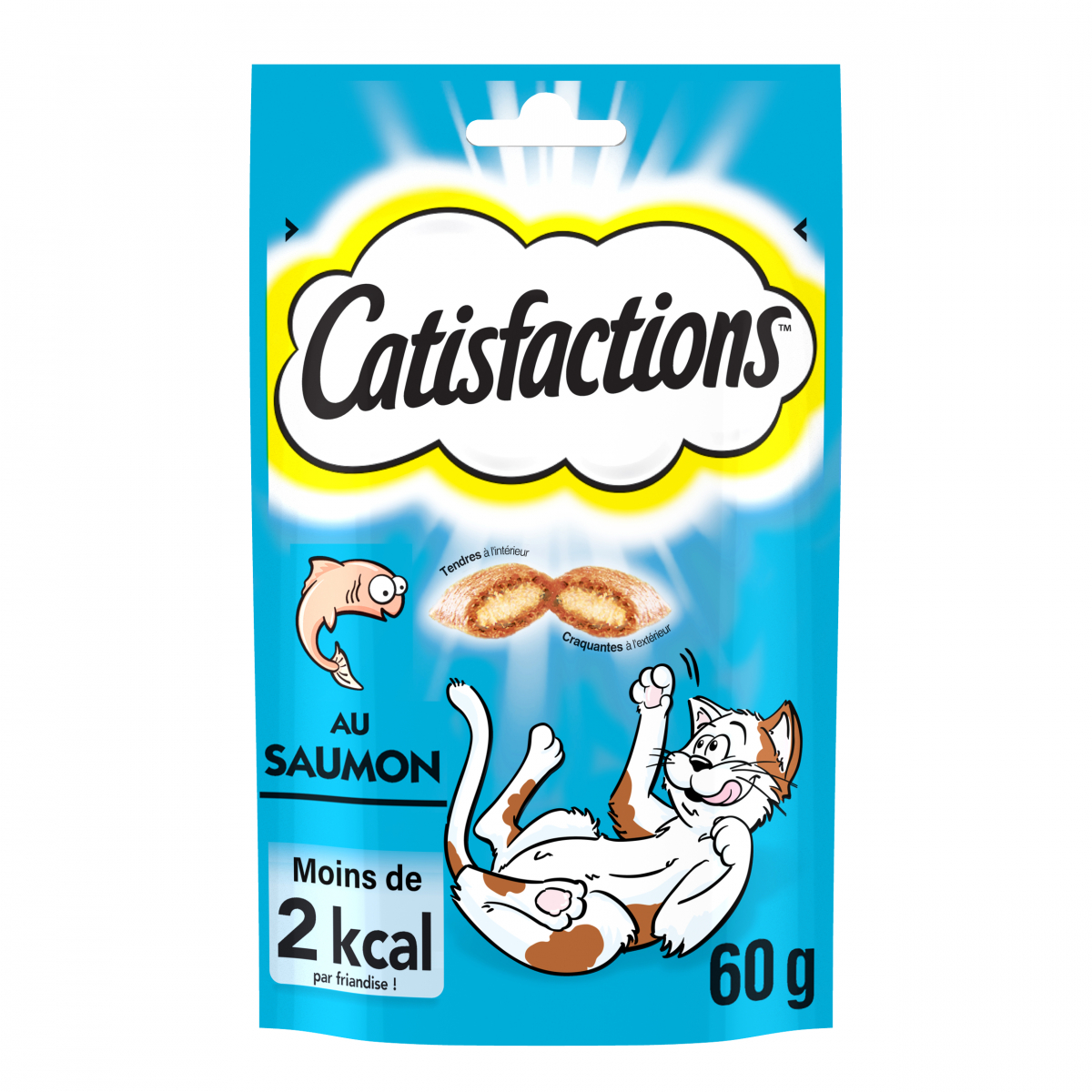 CATISFACTION - FRIANDISE AU SAUMON Sachet de 60g