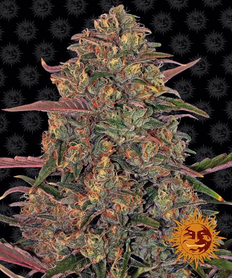 PINEAPPLE CHUNK