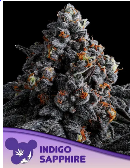 Indigo Sapphire