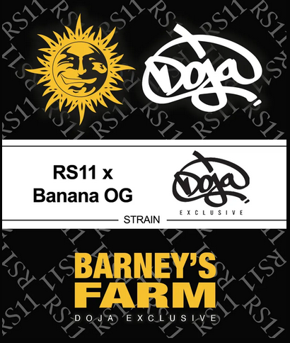 RS11 x Banana OG