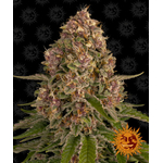pink-kush_circle_new_12_035221