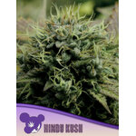 Hindu-Kush-600x800-1-300x400