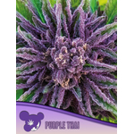 Purple-Thai-600x800-1-300x400
