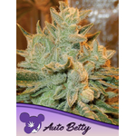 Auto-Betty-600x800-1