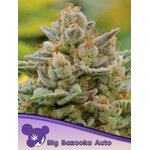 Big-Bazooka-auto-600x800-1-441x588