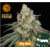Capture IMG