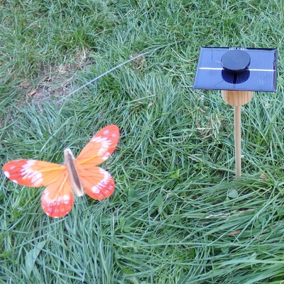 Kit-Papillon-Solaire-Orange-8cm-grande-cellule