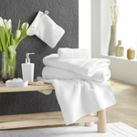 serviette-toilette-50x90cm-500gcm²-blanc (2)