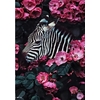 D-corations-murales-d-animaux-pour-la-maison-fleurs-color-es-feuilles-veons-singes-affiches-de.jpg_640x640