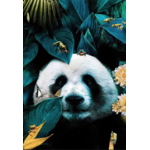 D-corations-murales-d-animaux-pour-la-maison-fleurs-color-es-feuilles-veons-singes-affiches-de.jpg_640x640