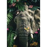 D-corations-murales-d-animaux-pour-la-maison-fleurs-color-es-feuilles-veons-singes-affiches-de.jpg_640x640