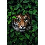 D-corations-murales-d-animaux-pour-la-maison-fleurs-color-es-feuilles-veons-singes-affiches-de.jpg_640x640