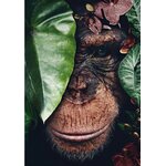 D-corations-murales-d-animaux-pour-la-maison-fleurs-color-es-feuilles-veons-singes-affiches-de.jpg_640x640
