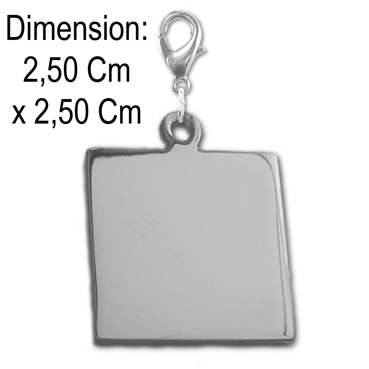 Medaille carre gravure chien