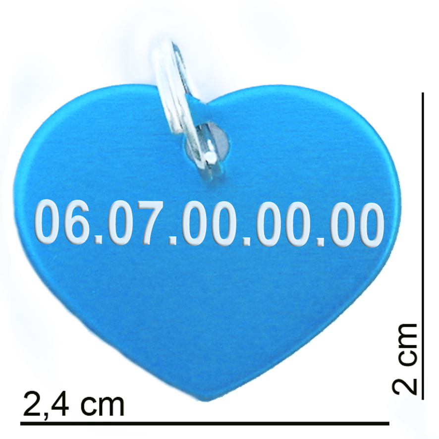 coeur medaille chat identité