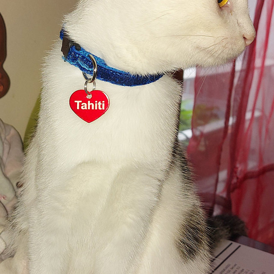 médaille chat coeur rouge