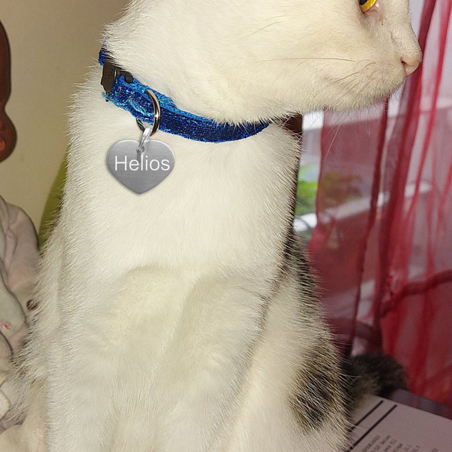 médaille identité chat coeur gris